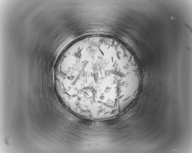 X0000099401275200805291202