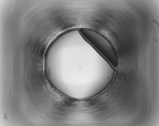 X0000099401276200805291202