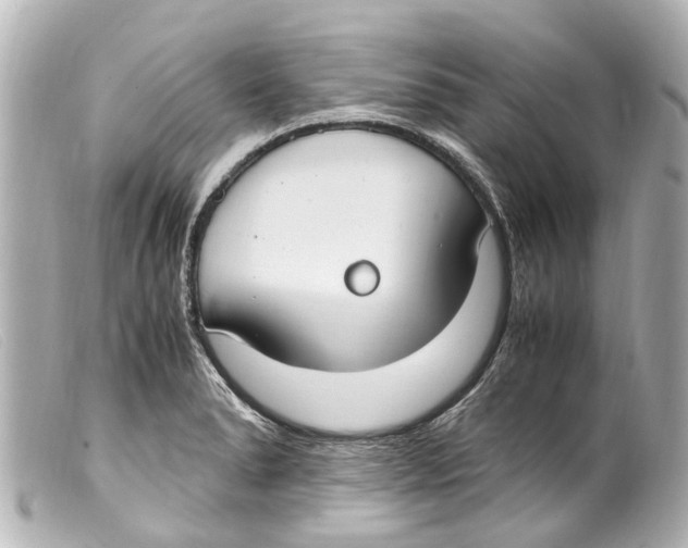 X0000099401278200805291202