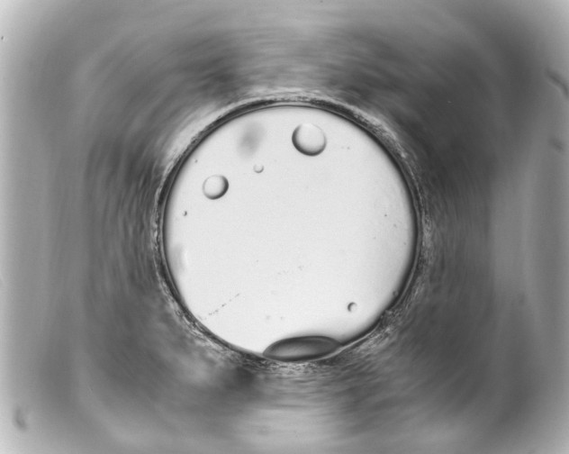 X0000099401279200805291202