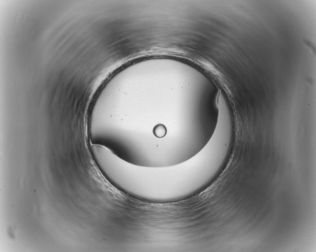 X0000099401280200805291202