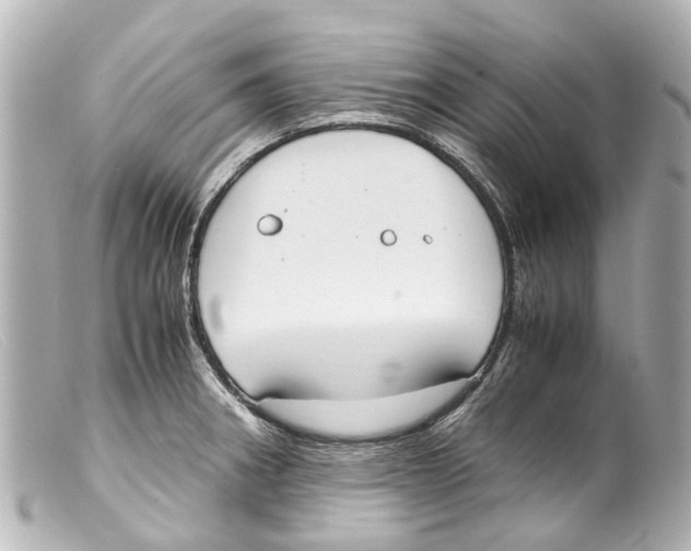 X0000099401282200805291202