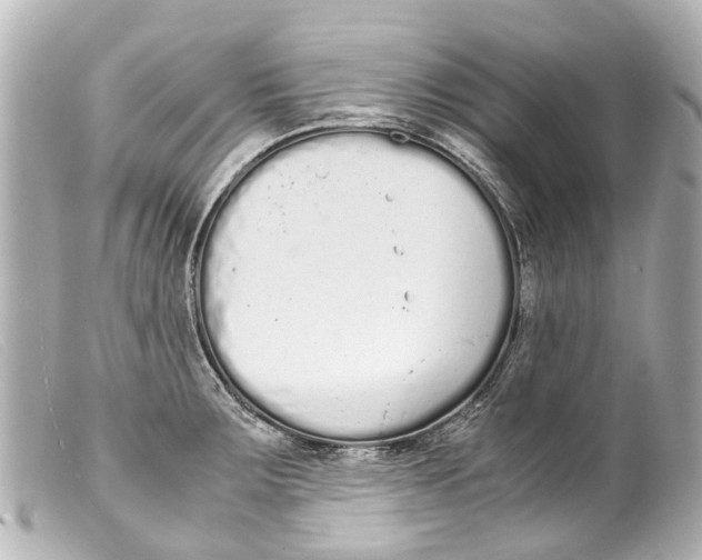 X0000099401283200805291202