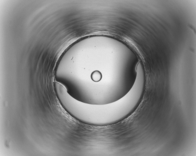 X0000099401284200805291202