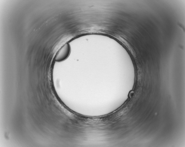 X0000099401285200805291202