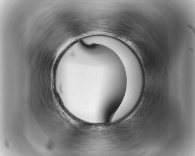 X0000099401286200805291202