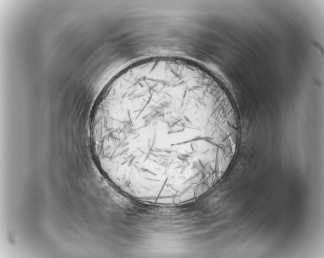 X0000099401287200805291202