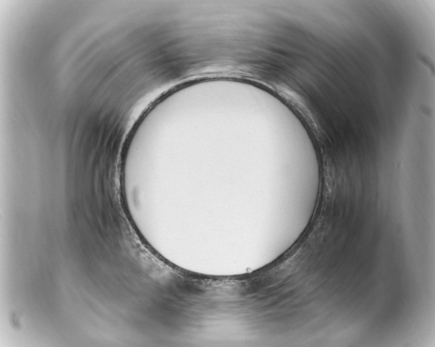 X0000099401288200805291202