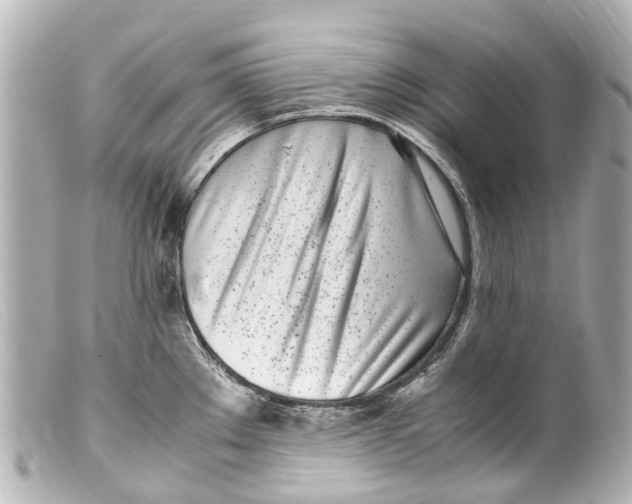 X0000099401289200805291202