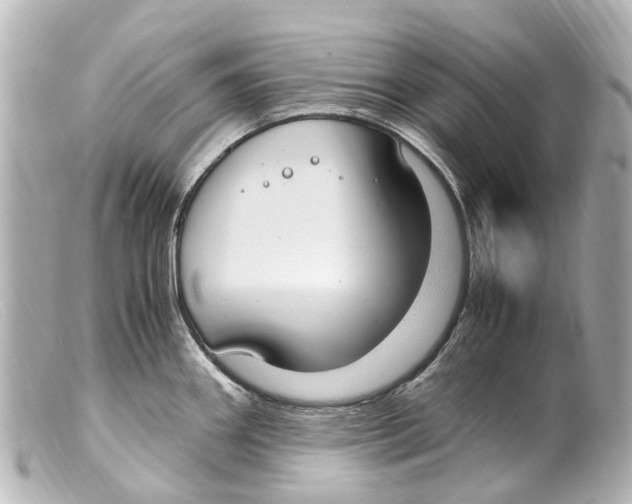 X0000099401290200805291202