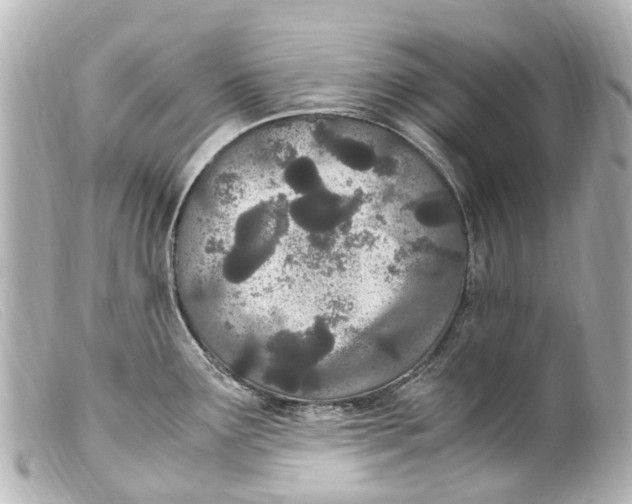 X0000099401291200805291202