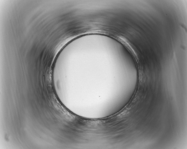 X0000099401292200805291202