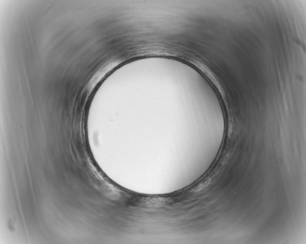 X0000099401293200805291202