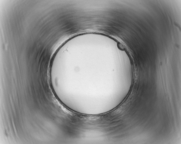 X0000099401294200805291202