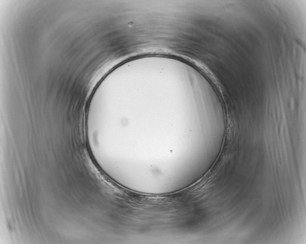 X0000099401295200805291202