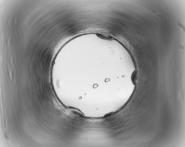 X0000099401296200805291202