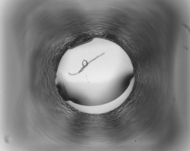 X0000099401297200805291201