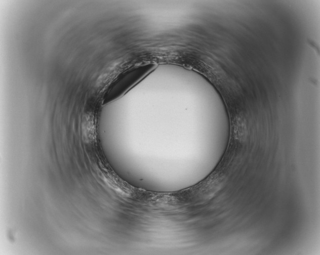 X0000099401298200805291201