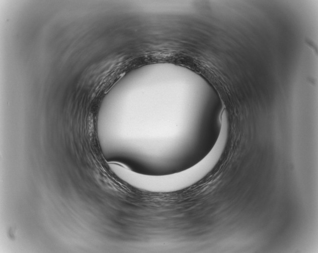 X0000099401299200805291201