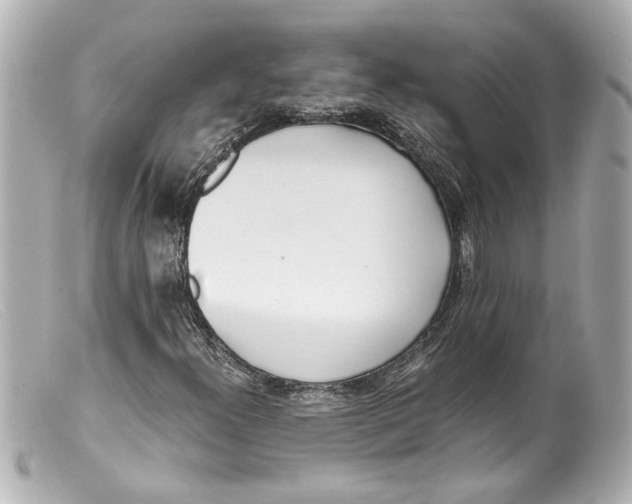 X0000099401300200805291201