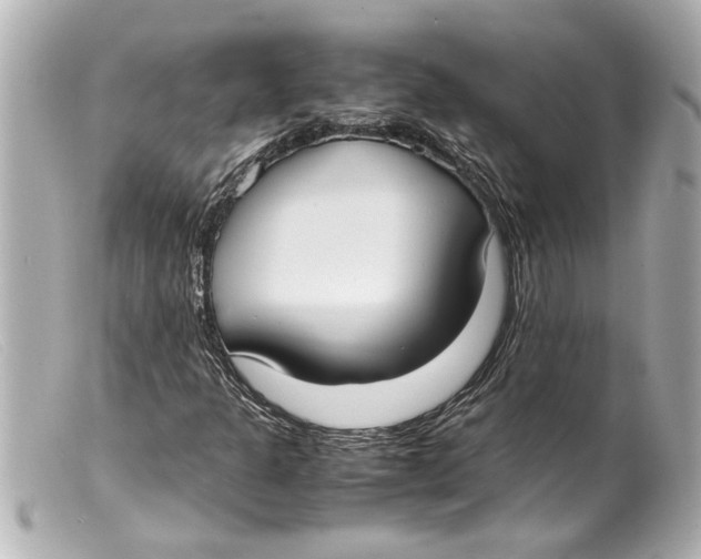 X0000099401301200805291201