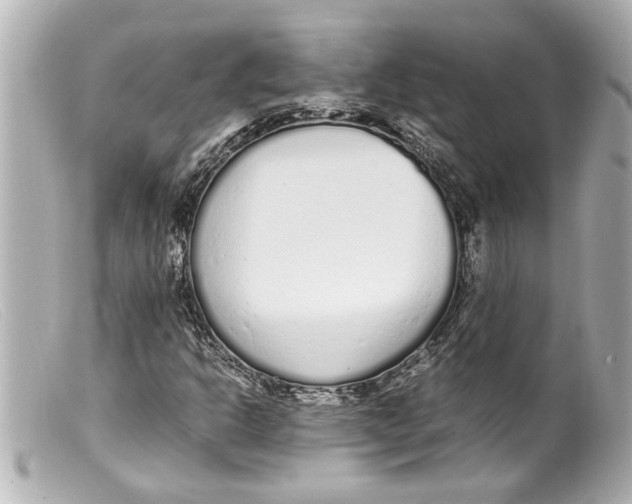 X0000099401302200805291201