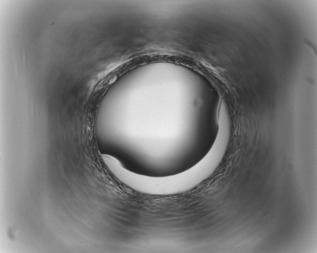 X0000099401303200805291201