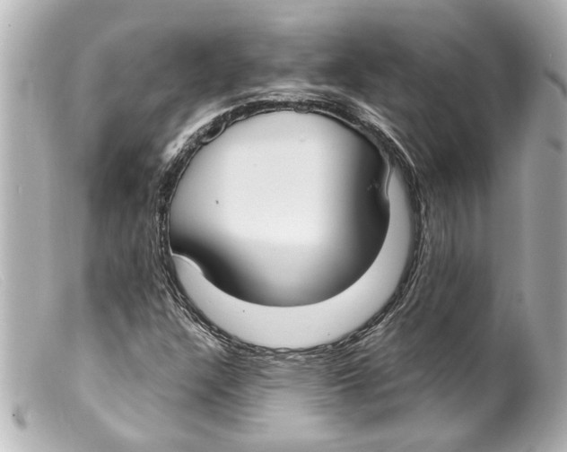 X0000099401304200805291201