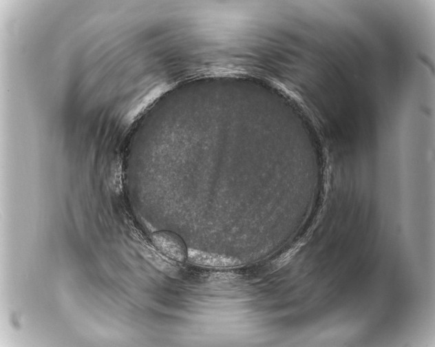 X0000099401306200805291202