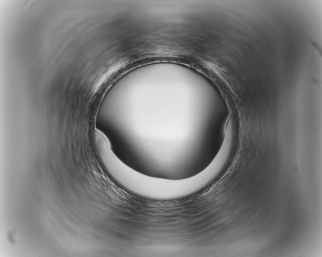 X0000099401307200805291202