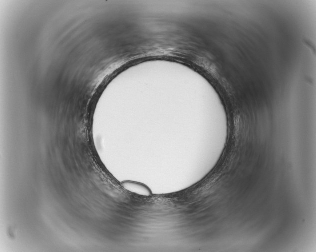 X0000099401308200805291202