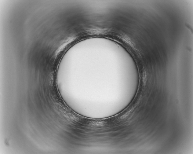 X0000099401309200805291202