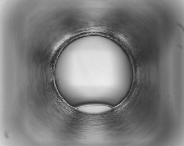 X0000099401310200805291202