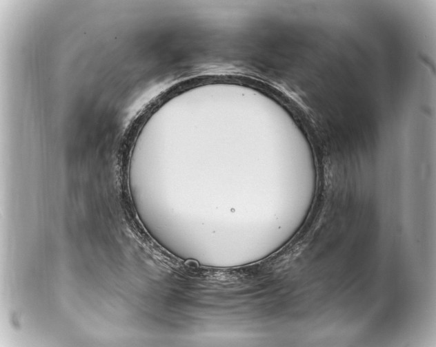 X0000099401311200805291202