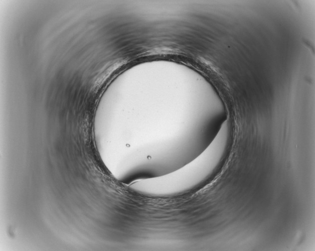 X0000099401313200805291202