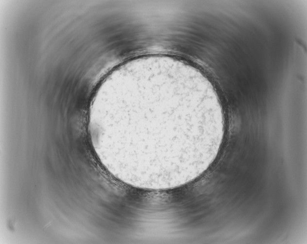 X0000099401314200805291202