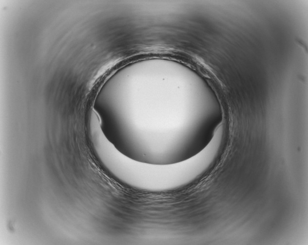 X0000099401315200805291202