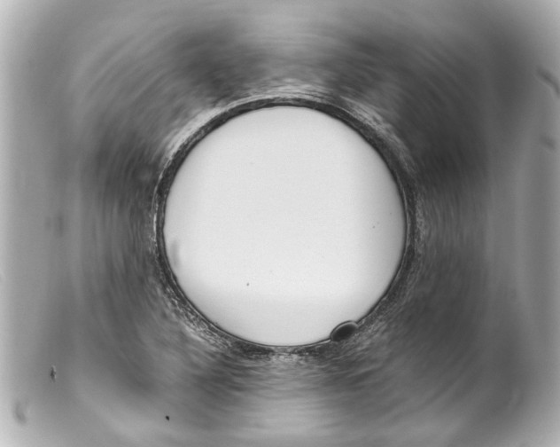 X0000099401316200805291202