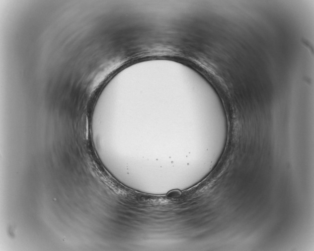 X0000099401317200805291202