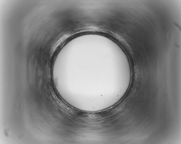 X0000099401318200805291202