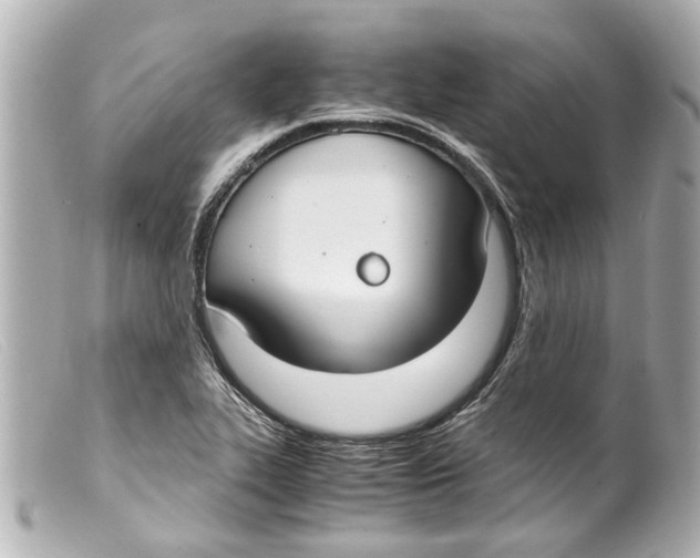 X0000099401319200805291202