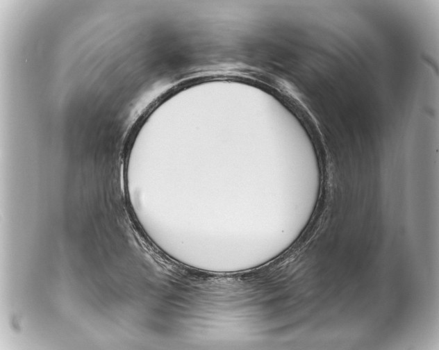 X0000099401320200805291202