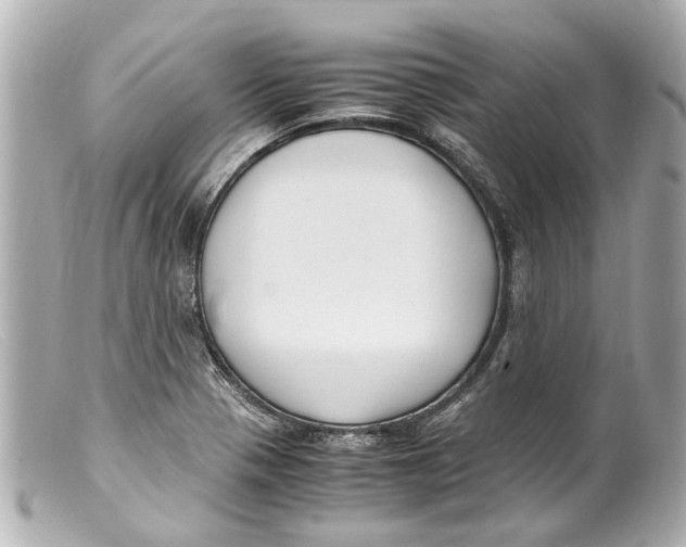 X0000099401321200805291202