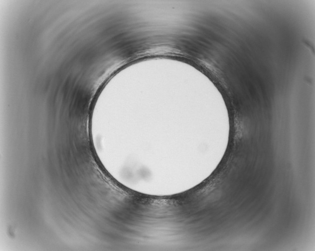 X0000099401322200805291202