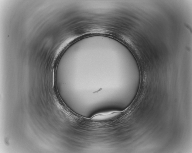 X0000099401323200805291202