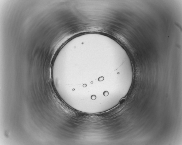 X0000099401324200805291202