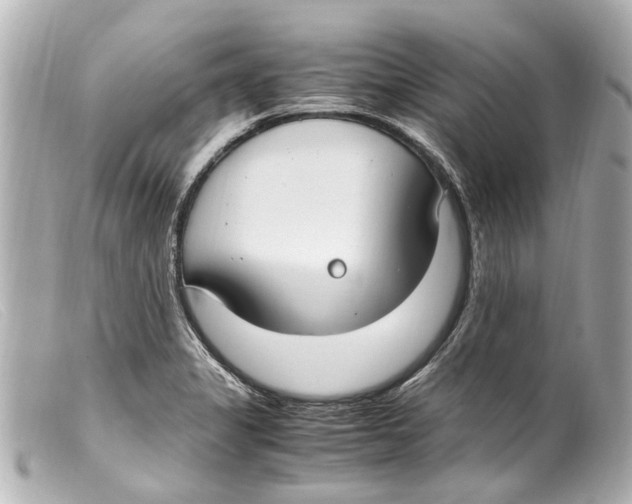 X0000099401325200805291202