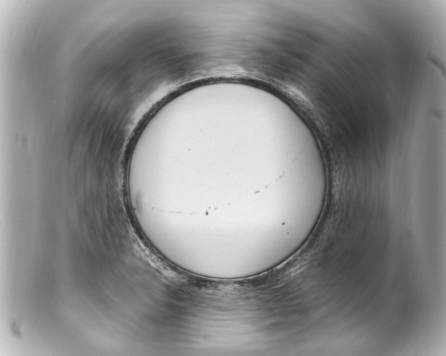 X0000099401326200805291202