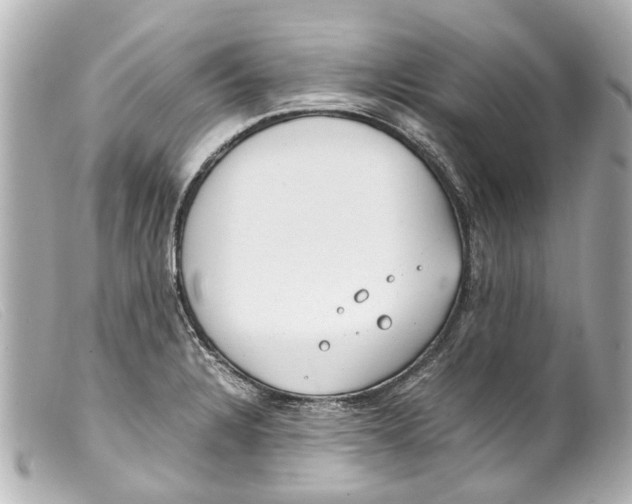 X0000099401328200805291202