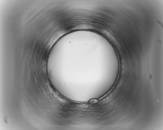 X0000099401329200805291202